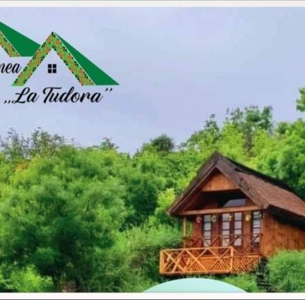 logo/Pensiunea ''La Tudora,,