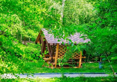 gallery-image-desktop/Foișor - International Park/2