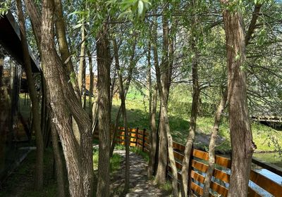 gallery-image-desktop/Foișor - Green Garden/1