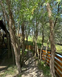 gallery-image-phone/Foișor - Green Garden/4