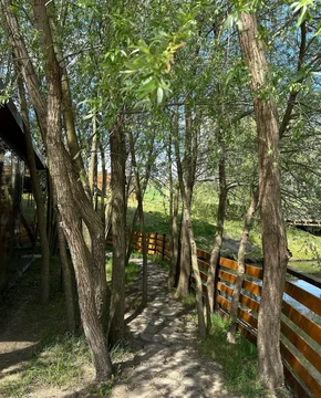 gallery-image-desktop/Foișor - Green Garden/4