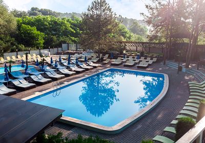 gallery-image-desktop/Piscină - TreeHouse/0