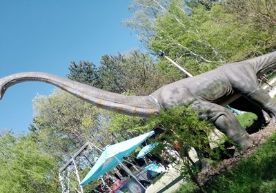 gallery-image-desktop/Dinopark/2