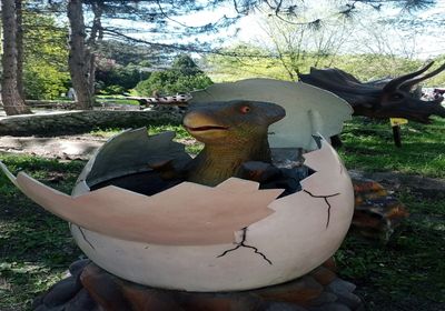 gallery-image-desktop/Dinopark/1