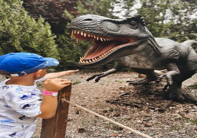 gallery-image-desktop/Dinopark/0