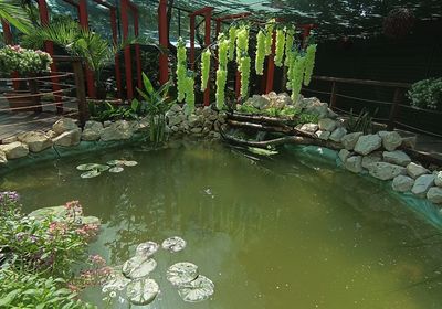 gallery-image-phone/BEFLY GARDEN/9