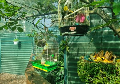 gallery-image-phone/BEFLY GARDEN/5