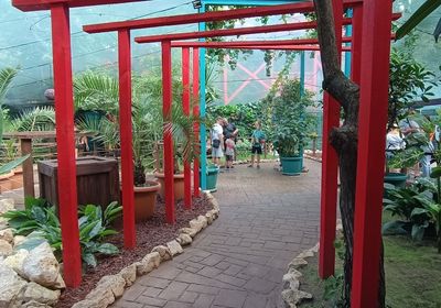 gallery-image-desktop/BEFLY GARDEN/1