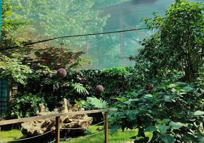 gallery-image-phone/BEFLY GARDEN/6