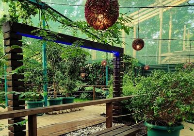 gallery-image-phone/BEFLY GARDEN/7