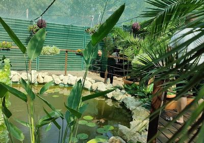 gallery-image-phone/BEFLY GARDEN/8