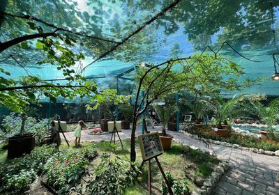 gallery-image-desktop/BEFLY GARDEN/2