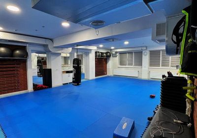 gallery-image-phone/Global Fitness/6