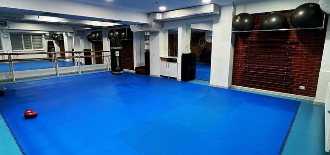 gallery-image-phone/Global Fitness/5