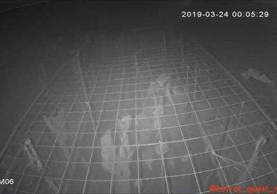 gallery-image-desktop/Horror Quest Moldova/2