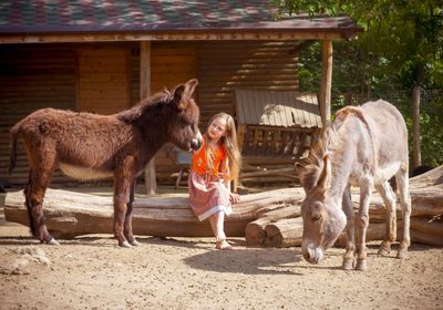 gallery-image-desktop/Hipism la Zoo (Călărit)/2