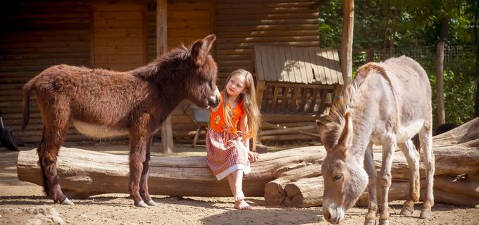gallery-image-phone/Hipism la Zoo (Călărit)/2