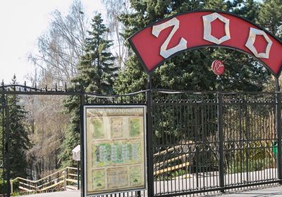 gallery-image-desktop/Hipism la Zoo (Călărit)/0