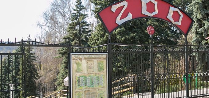 gallery-image-phone/Hipism la Zoo (Călărit)/3