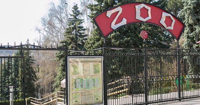 gallery-image-desktop/Hipism la Zoo (Călărit)/3