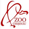 logo/Hipism la Zoo (Călărit)