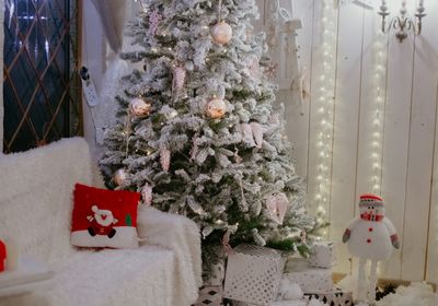 gallery-image-phone/Family Studio/6