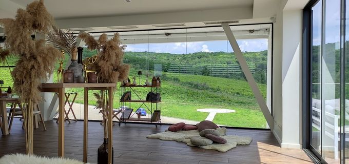 gallery-image-phone/Hotel - Vinăria Poiana/6