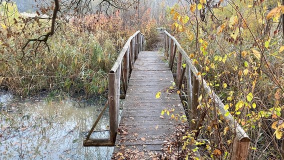 gallery-image-phone/Parcul Țaul/8