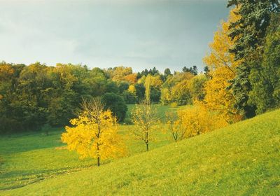 gallery-image-desktop/Parcul Țaul/1