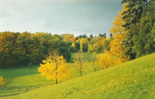 gallery-image-phone/Parcul Țaul/1