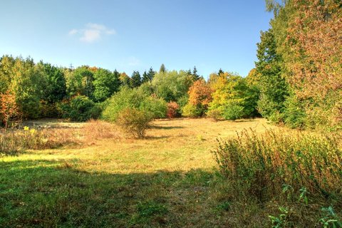 gallery-image-phone/Parcul Țaul/6