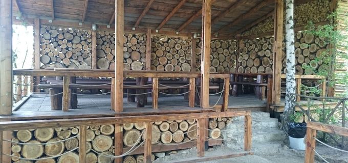 gallery-image-phone/Foișor - Pădurea Veselă/5