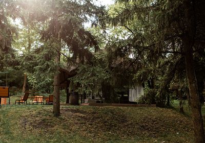 gallery-image-phone/Foișor - Tree House Relax Park/6