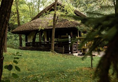 gallery-image-desktop/Foișor - Tree House Relax Park/2