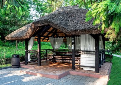 gallery-image-desktop/Foișor - Tree House Relax Park/1