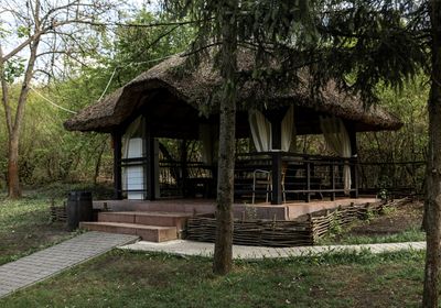 gallery-image-desktop/Foișor - Tree House Relax Park/1